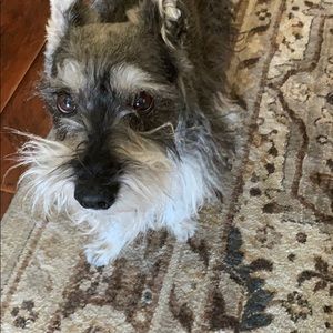 Meet your Posher, Debra